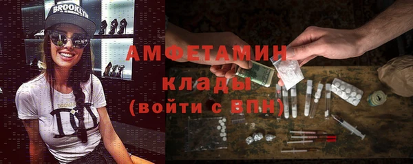 стаф Куровское