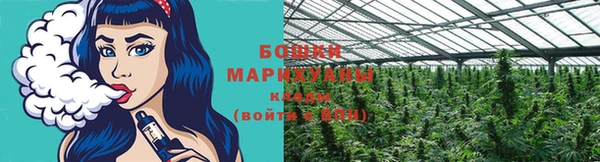 mdpv Протвино