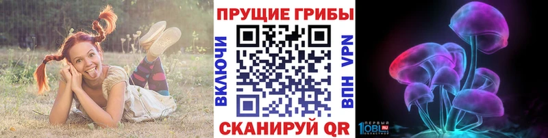 блэк спрут сайт  Щёлково  Псилоцибиновые грибы Magic Shrooms 